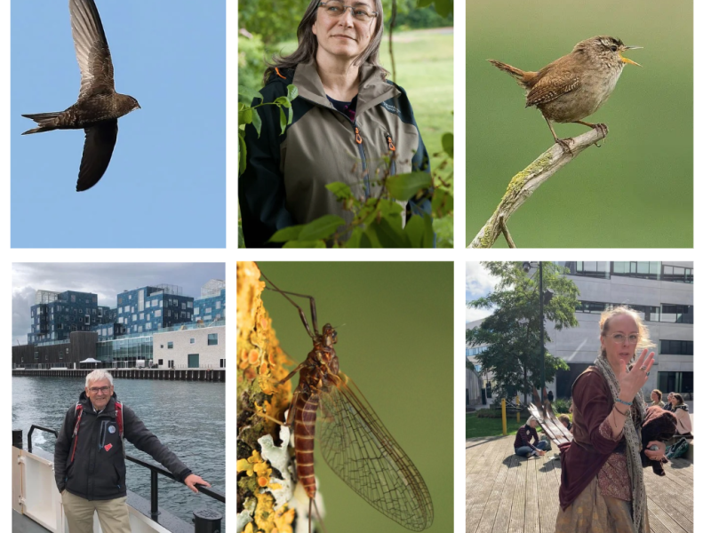 Arternes Ambassadører